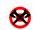 Axcitement website design logo